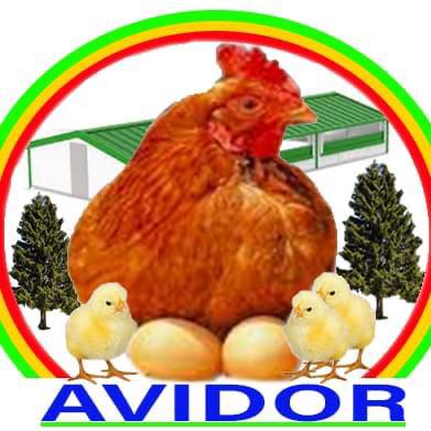 Avidor Mali